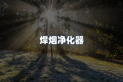 焊烟净化器